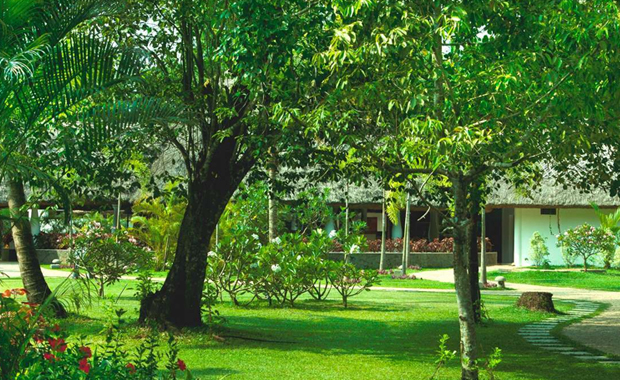 ayur anvita